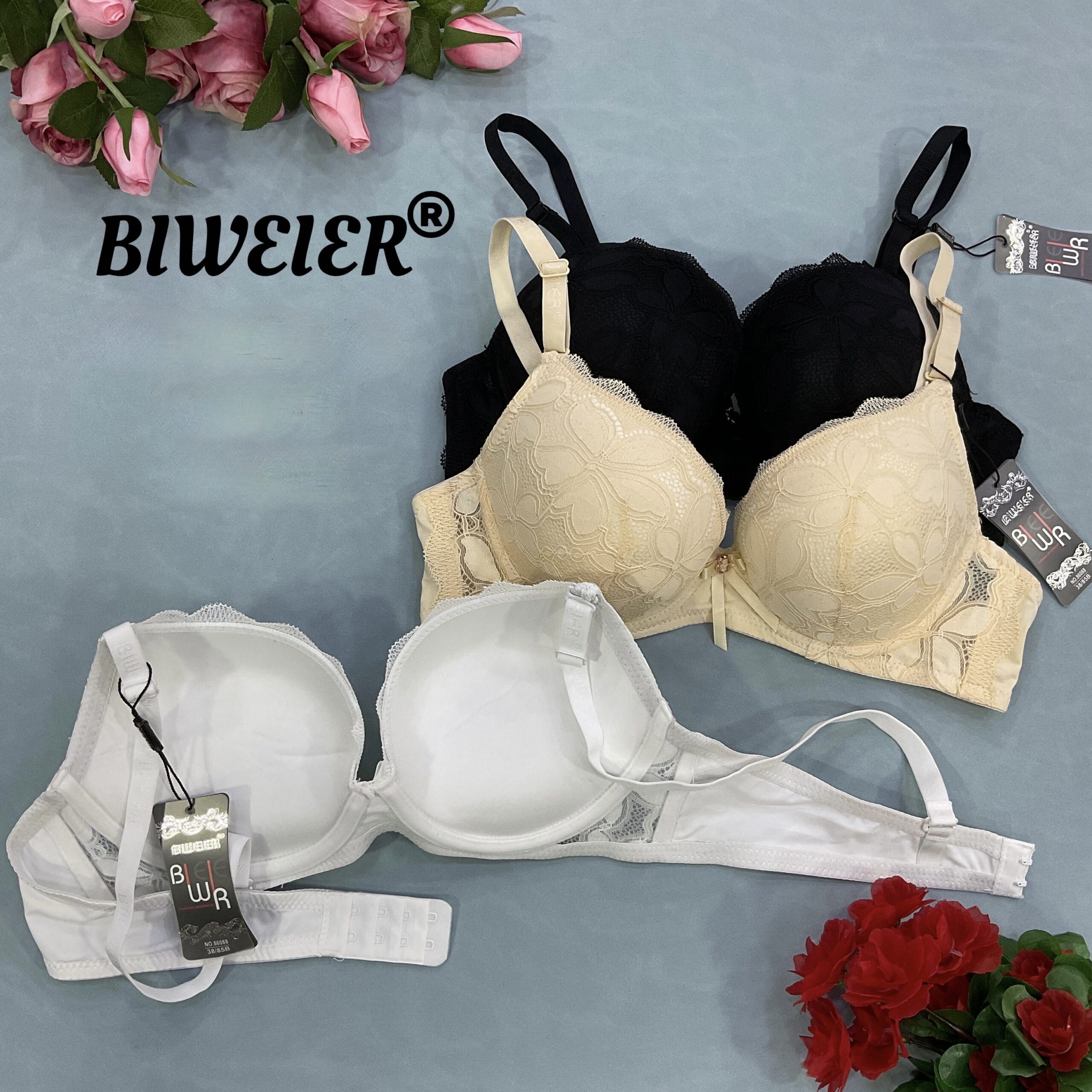 Продані В № 86088 BIWEIER Бюстгальтер в кольорах 2 BIWEIER Бюстгальтер в кольорах
